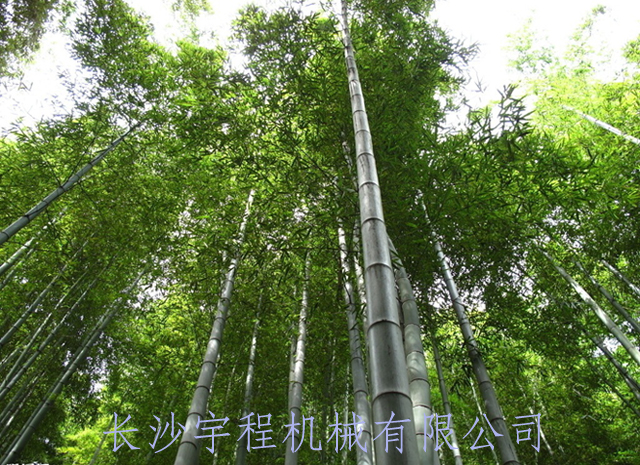竹子加工設備 竹子加工設備