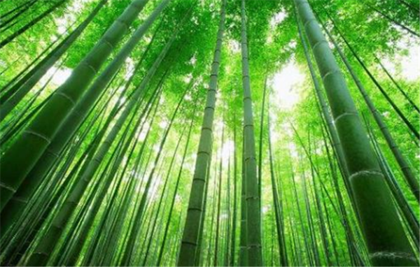 新聞動態 新聞動態